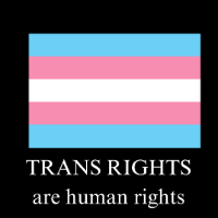 trans rights icon