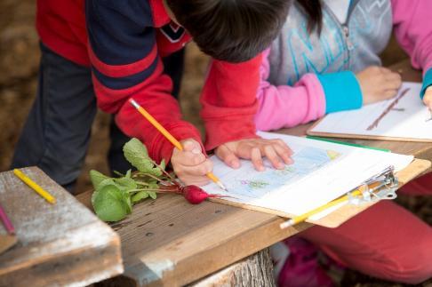 children leaning over a bench drawing on clipboards