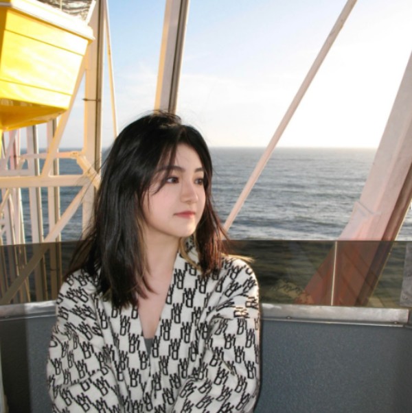 Xiaojing Zhu