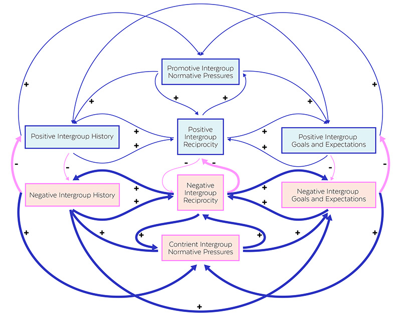 “HIGHLY COMPLEX BUT FUNDAMENTALLY SIMPLE” A complexity map of the core dynamics of sustainably peaceful societies from the Sustainable Peace Project. Coleman's group believes that peacefulness in communities is, at its core, a function of how members of different groups treat one another.