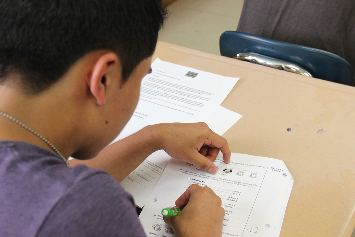 A student in a high school just outside of New York City. Jackie Mader/The Hechinger Report