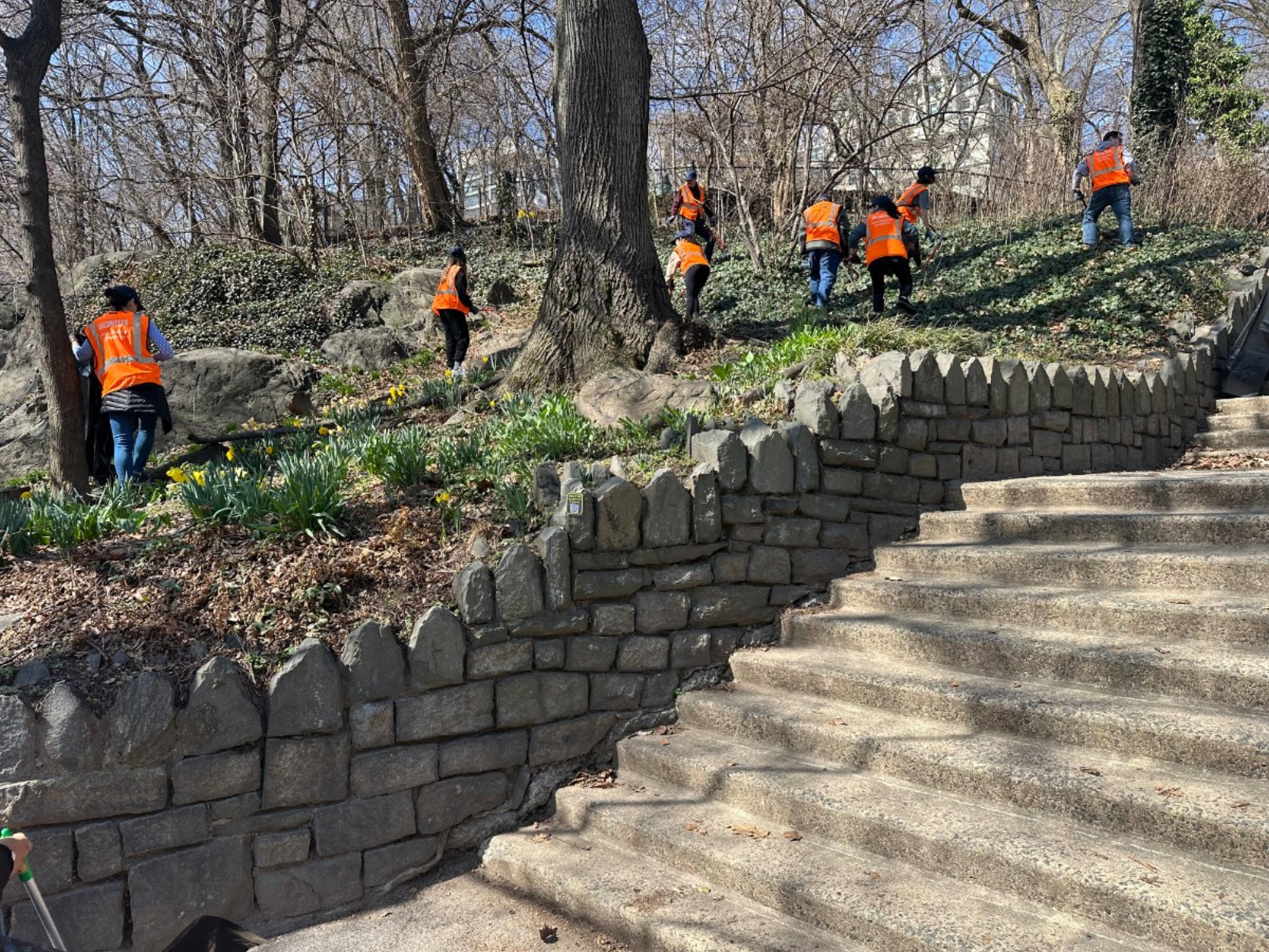 Students cleaning up Morningside Park.