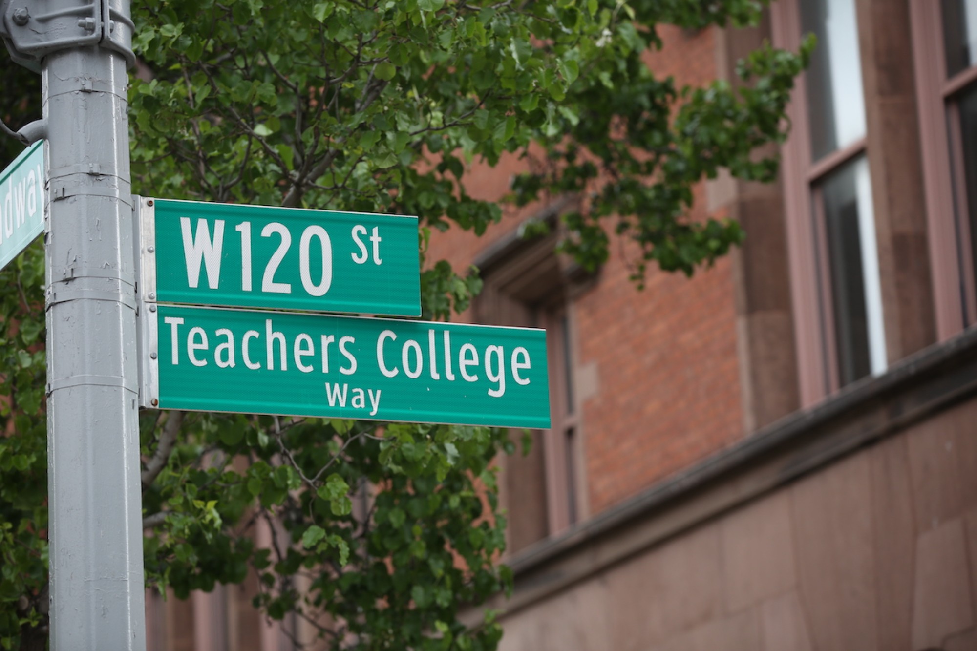 Pictured: TC campus in the summer.